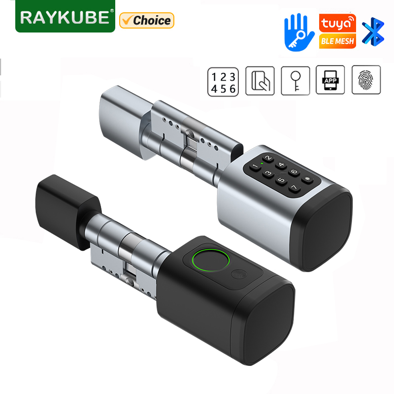 RAYKUBE V1 Tuya BLE TT serrure - Home Automation System Diy avis et prix