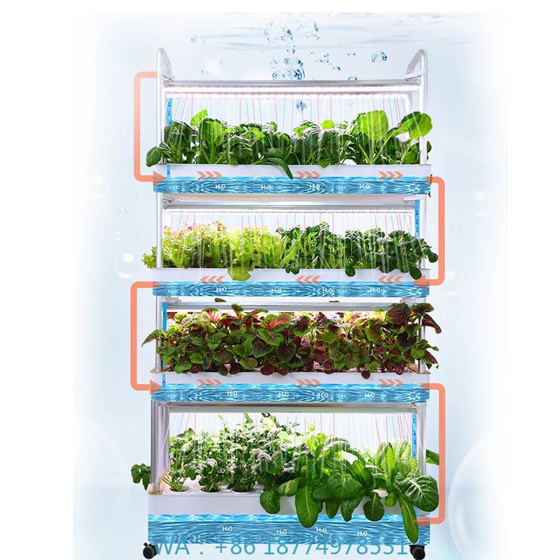 Système de plantation ydroponi - Home Automation System Diy avis et prix