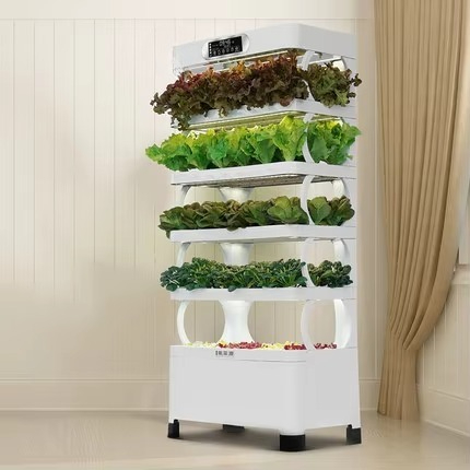 Système de culture hydroponiqu - Home Automation System Diy avis et prix